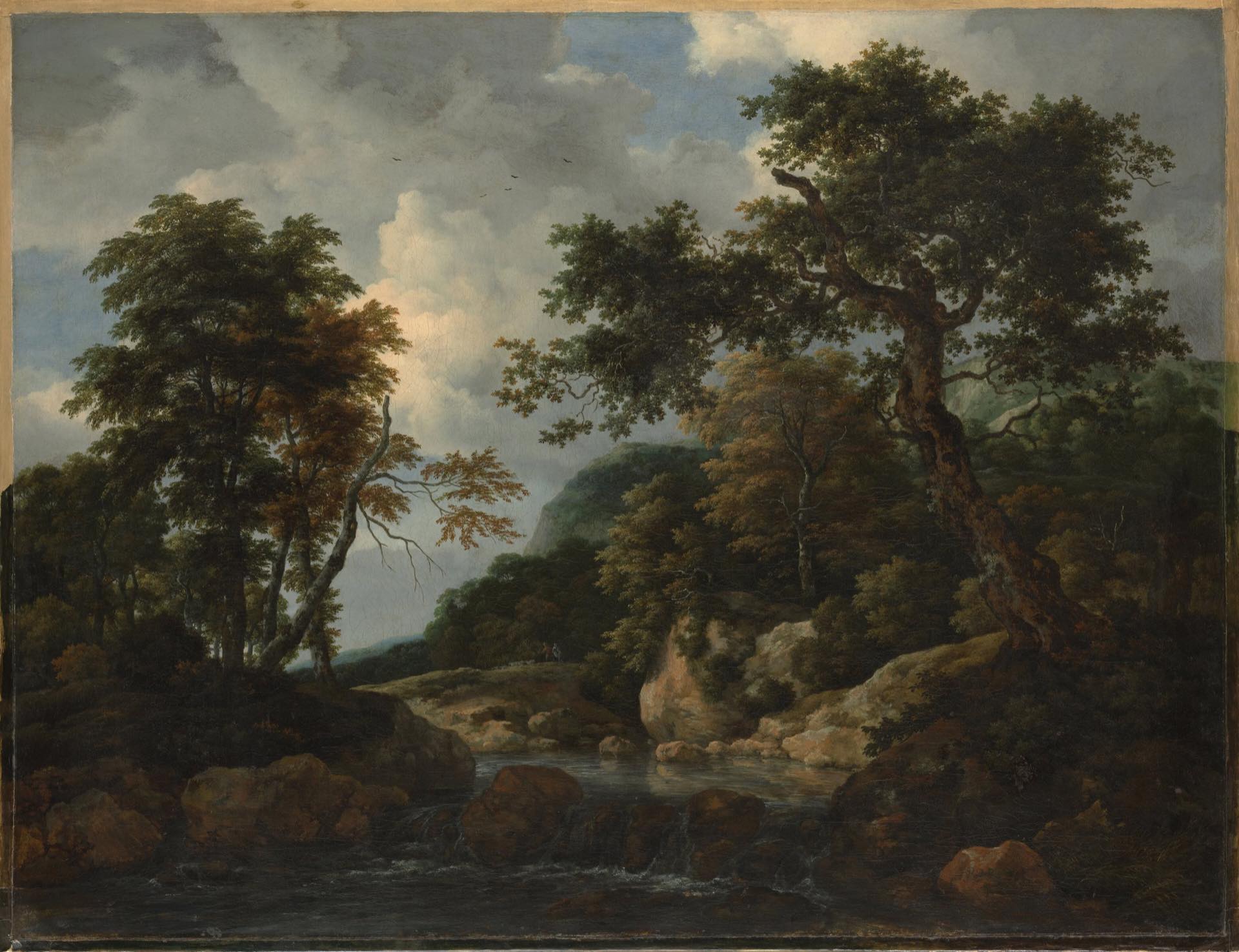 A forest stream running over rocks beneath a stormy sky